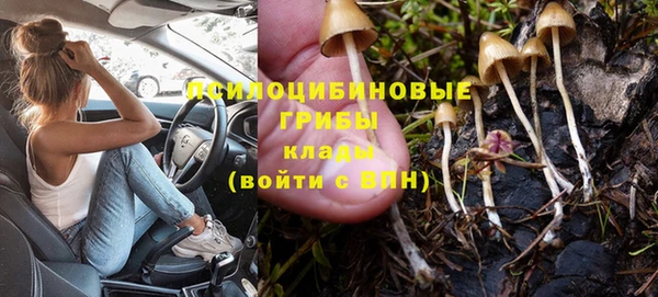 прущие грибы Волосово