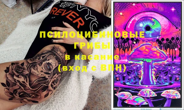 стаф Верхний Тагил