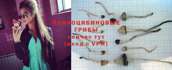 стаф Верхний Тагил