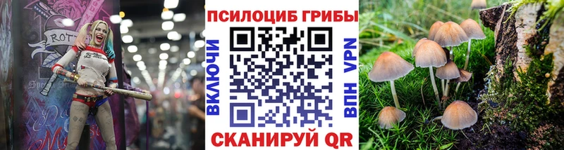 Галлюциногенные грибы Cubensis Гаврилов Посад